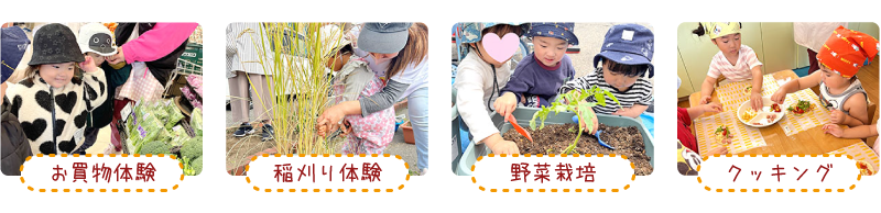 食育